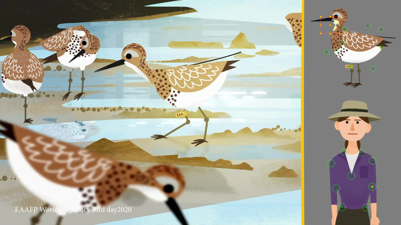 Still image and character rigs of great knot migratory birds in Lilian Fu's Birds Connect Our World.